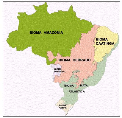 Biomas Brasileiros Resumo Mapa Mental Fauna E Flora Brasil Escola