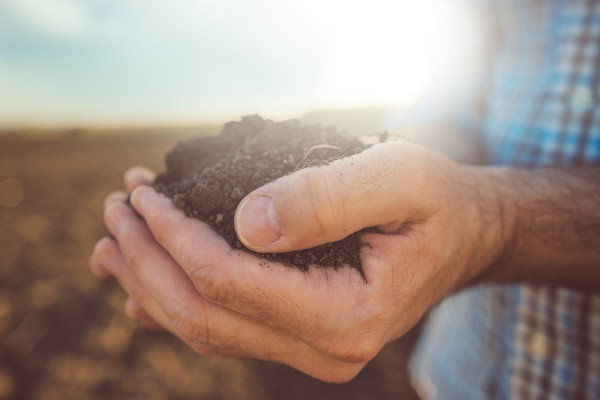 Imagem com a mão de um homem cheia de terra em alusão à reforma agrária.