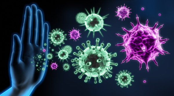 O sistema imunológico garante proteção do nosso corpo contra infecções.