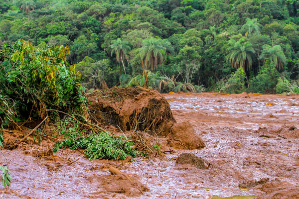 O rompimento da barragem da Vale em Brumadinho foi responsável por desencadear impactos ambientais negativos severos.