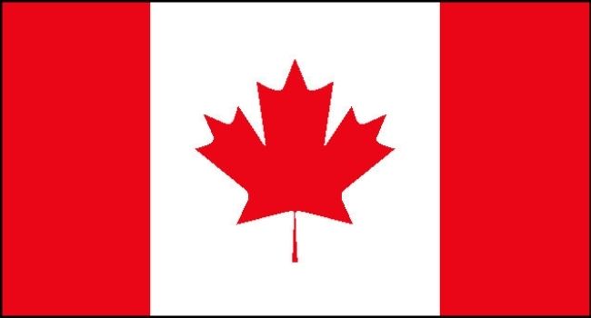 A bandeira canadense traz estampada a folha de bordo (maple leaf, no inglês), um dos símbolos do país. 