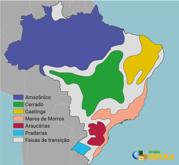 Distribuição dos domínios morfoclimáticos no território brasileiro.