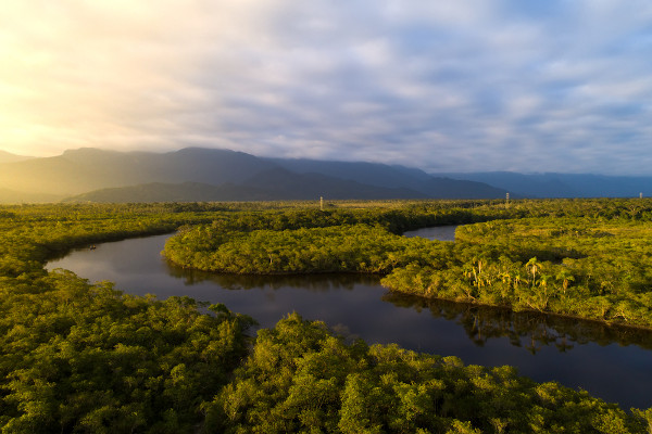 Vista aérea da Floresta Amazônica