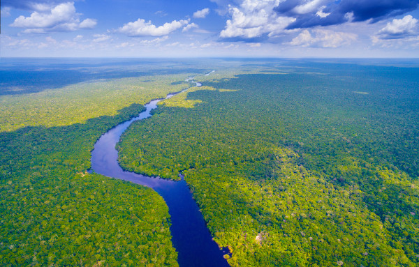 Curso d’água na Floresta Amazônica