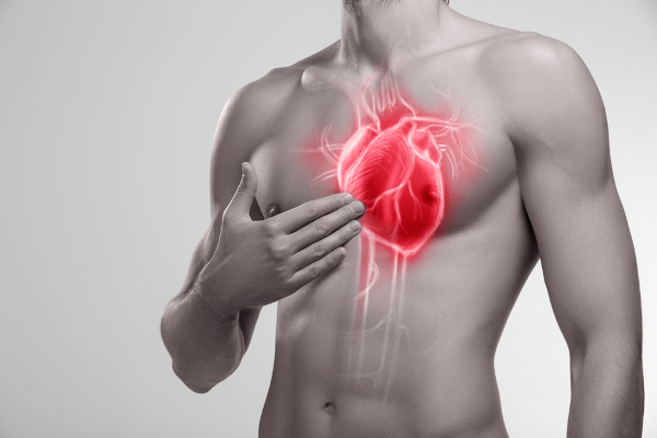 Representação do coração dentro de corpo humano.