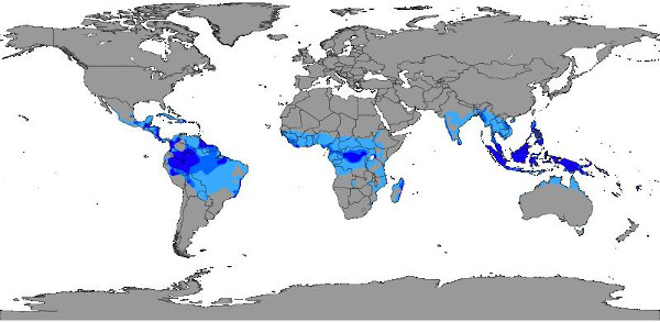 Mapa com distribuição do clima tropical pelo mundo.[1]