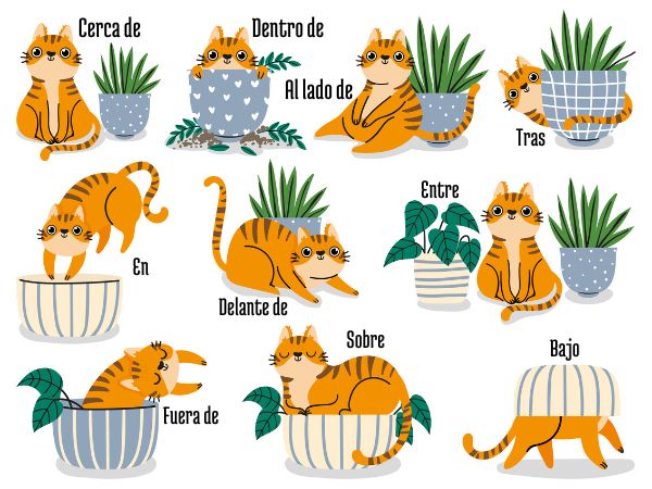 Ilustração com gatinho traz exemplos de preposições em espanhol.