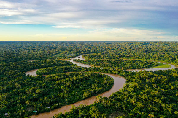 Vista aérea da Floresta Amazônica