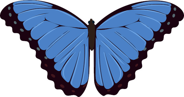 Simetria em borboleta