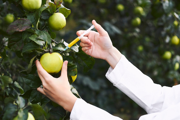 Mulher aplica algo em fruta com uma seringa, realizando modificação artificial em alimento.