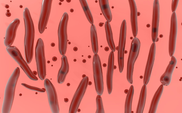 Ilustração da bactéria Clostridium botulinum em formato de bastonetes.