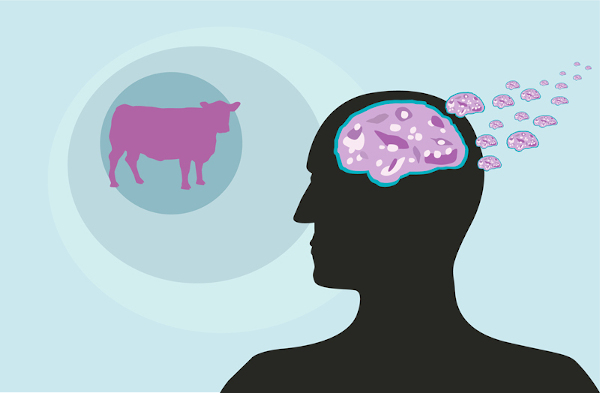 Ilustração de um cérebro humano infectado por príons; ao lado, a silhueta de um bovino, transmissor da doença da vaca louca.