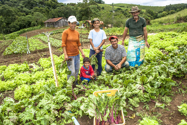 Família composta por cinco pessoas em um ambiente de agricultura familiar, um dos tipos de agricultura do Brasil, em Apiaí.
