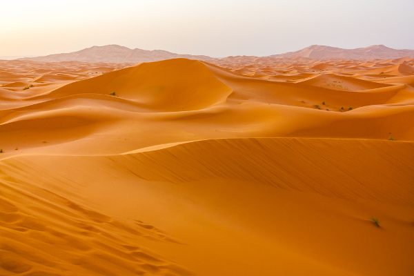 Dunas de areia no Deserto do Saara, um dos maiores desertos do mundo.