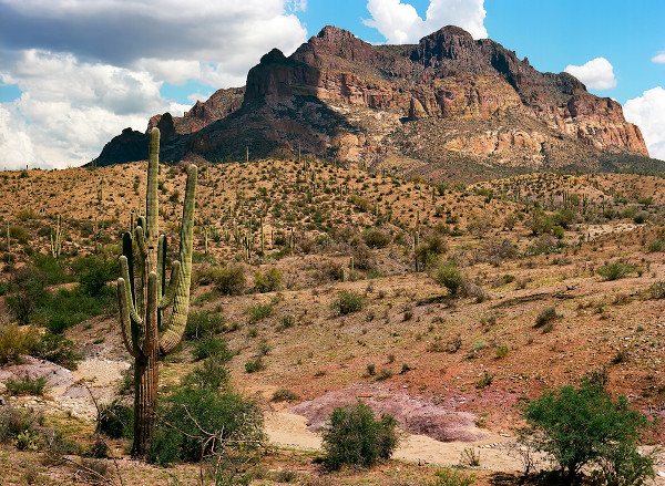 Região do Deserto de Sonora, um dos maiores desertos do mundo.