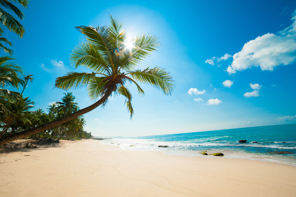 Praia no Sri Lanka, região de ocorrência do clima tropical, um dos 11 tipos de clima que existem no mundo.