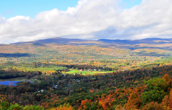 Vegetação nas cores verde e laranja, típicas do outono em Massachusetts.