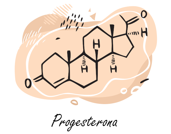 Estrutura química da progesterona.
