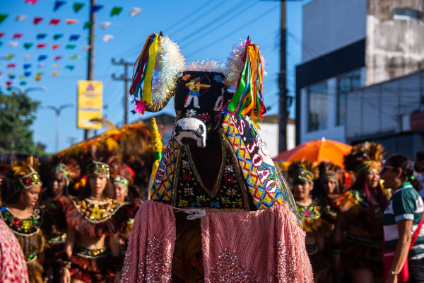 Festival Elas Por Elas Elas reúne artesanato, poesia e