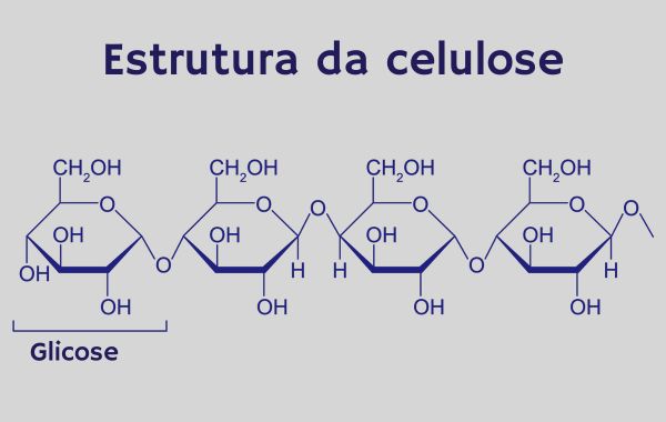 Estrutura molecular da celulose em texto sobre amido.