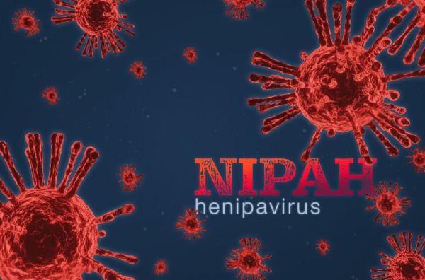 Nipah / Henipavirus; fundo azul-escuro com representações de vírus.