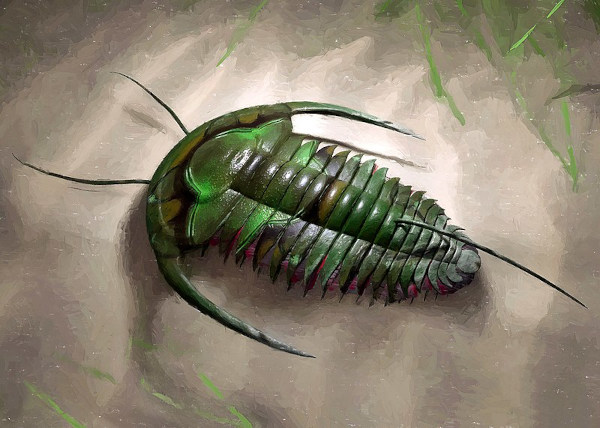 Ilustração de um trilobita, animal que viveu durante a Era Paleozoica.[1]