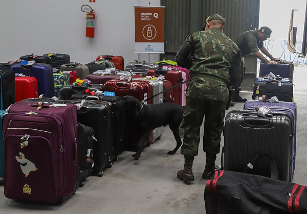 Militares e cachorro fazendo busca por drogas em malas, em texto sobre narcotráfico.