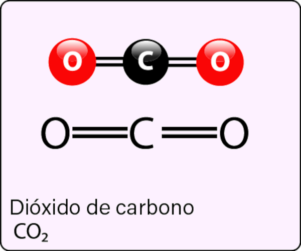 Fórmula estrutural do dióxido de carbono (CO₂).