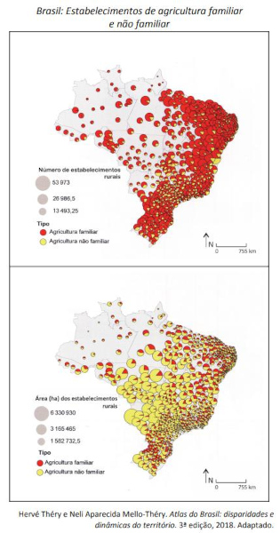 Dois mapas do Brasil sobre agricultura familiar e não familiar em questão da Fuvest sobre agropecuária no Brasil.