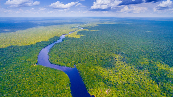 Paisagem natural no bioma Amazônia, um dos biomas brasileiros.