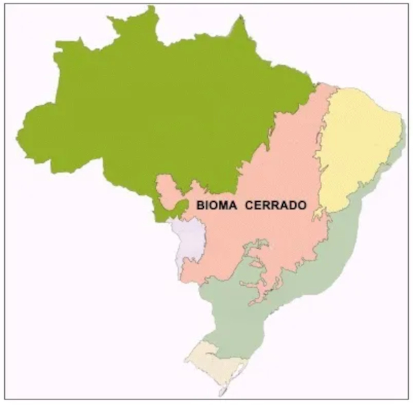 Mapa do Brasil mostrando a localização do Cerrado no Brasil.