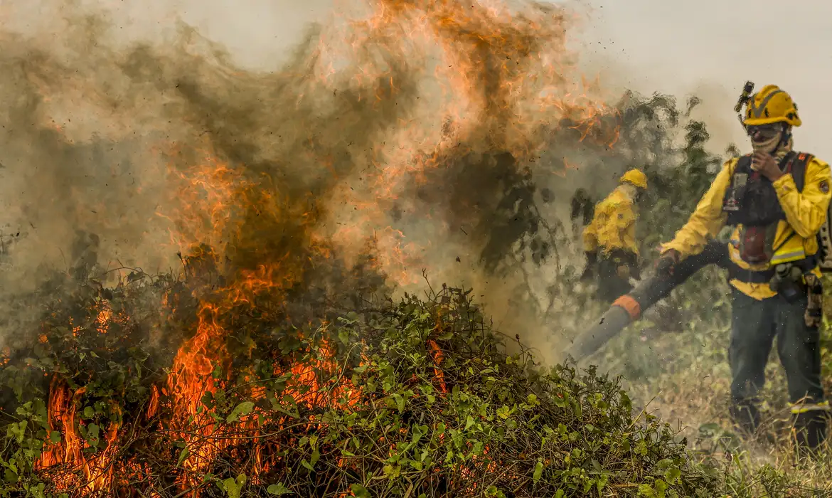 Incêndio no Pantanal