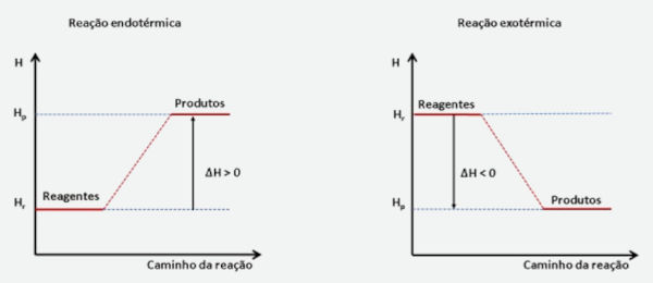 Gráficos das reações endotérmicas e exotérmicas.