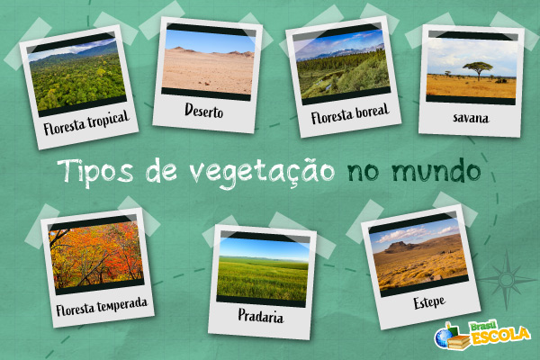 Tipos de vegetação no mundo.