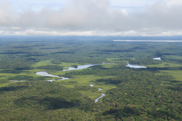 Paisagem natural na Guiana Francesa.