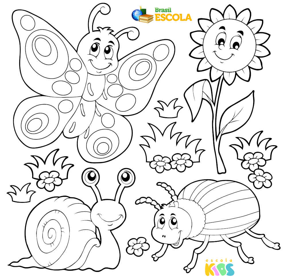 Desenho para colorir borboleta, flor, besouro e caramujo