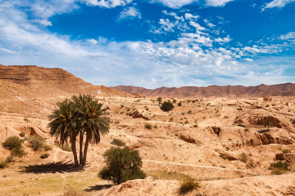 Paisagem no Deserto do Saara, região de ocorrência do clima desértico.