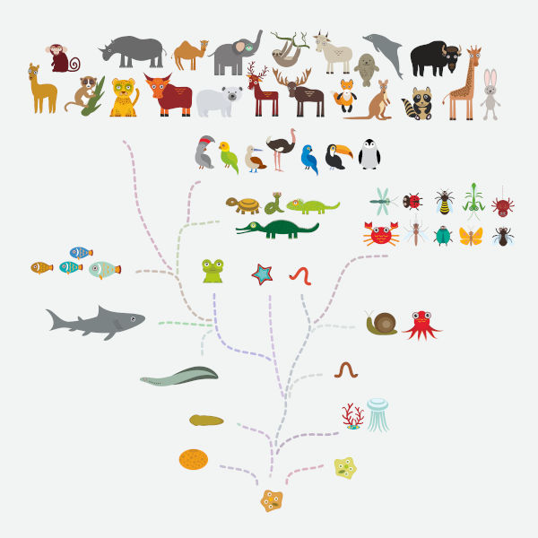 Ilustração de diferentes espécies de seres vivos conectados por um ancestral comum, como afirma a teoria da evolução.