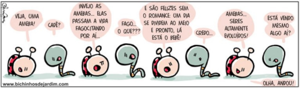 Tirinha em questão da UFGD que fala de características das amebas.