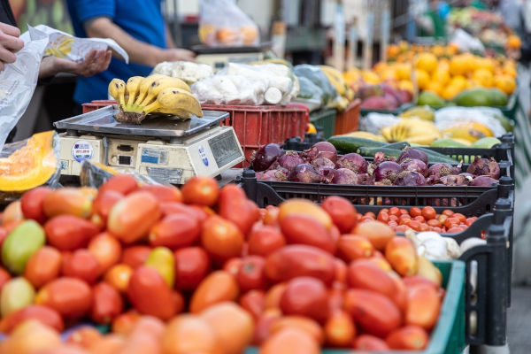 Diversos tipos de alimentos derivados do setor primário da economia.