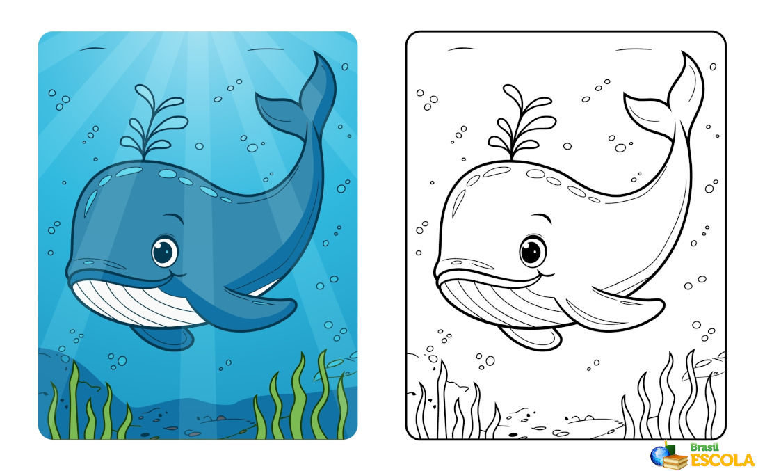 Desenho para colorir baleia