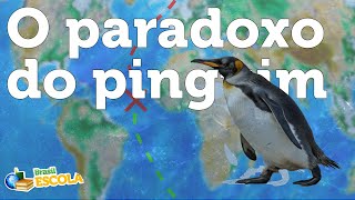 Videoaula: por que não existem pinguins no hemisfério norte? Thumbnail do Vídeo