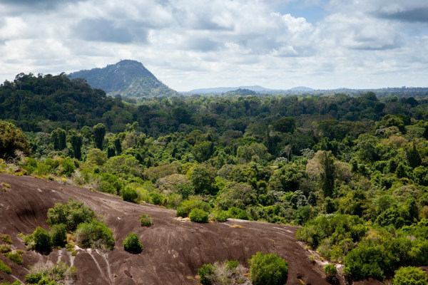 Paisagem natural no Suriname.