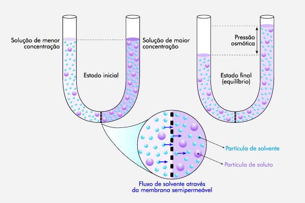 Esquema básico de funcionamento da osmose. [imagem_principal]