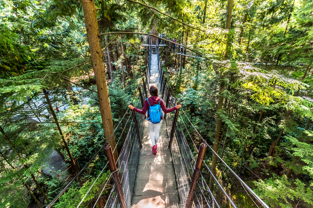 Mulher caminhando sobre ponte suspensa na floresta, uma atividade de ecoturismo. 