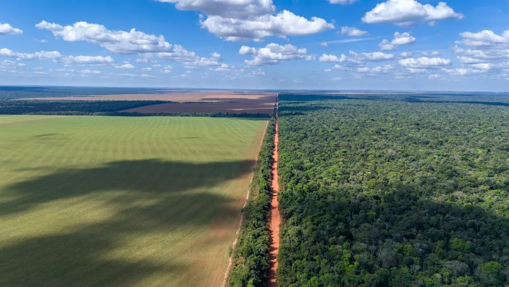 grilagem é identificada em áreas de avanço da fronteira agropecuária