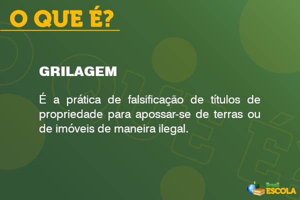 Imagem explicando o que é grilagem.