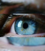 Olho humano