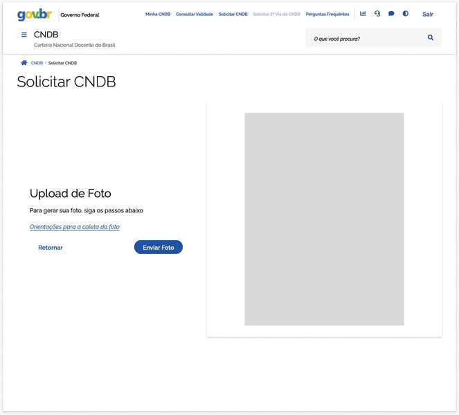 Página da solicitação da Carteira Nacional Docente do Brasil.
