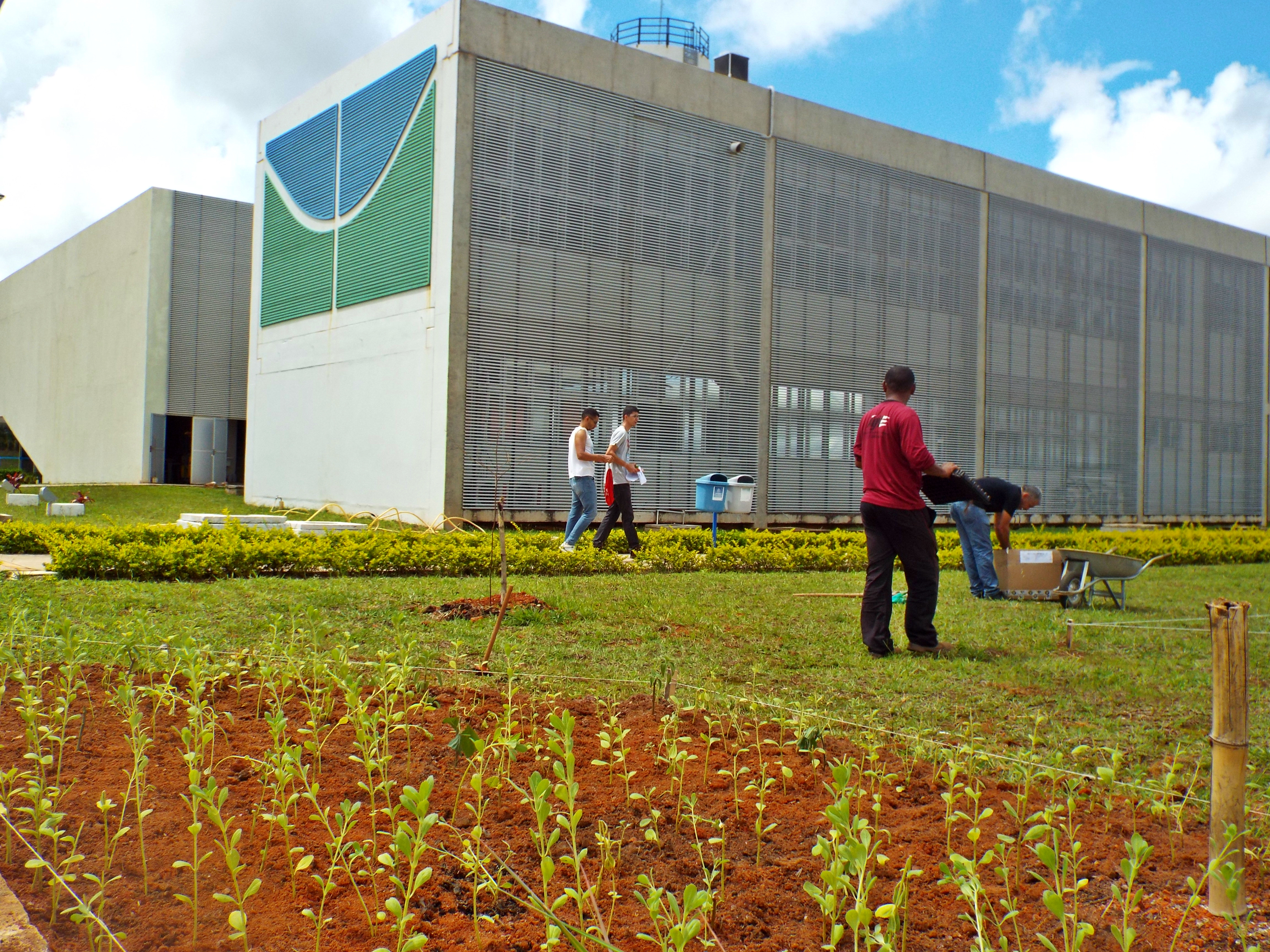 Campus da UnB, mostra logo da universidade e pessoas fazendo plantio de plantas na terra